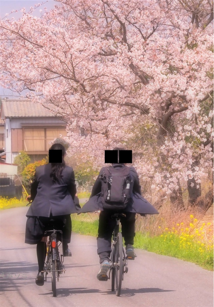 f:id:emikosorakara2:20220421220109j:image f:id:emikosorakara2:20220421220109j:image