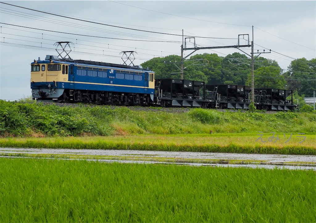 f:id:emikosorakara2:20220608185550j:image f:id:emikosorakara2:20220608185550j:image