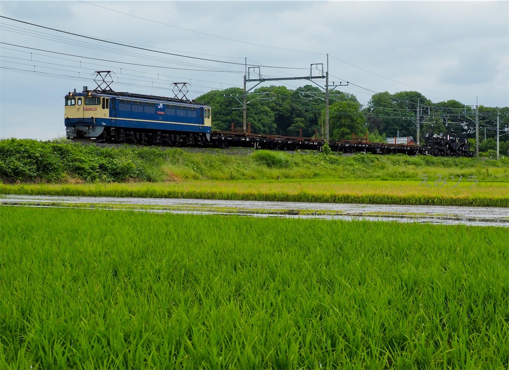 f:id:emikosorakara2:20220608185816j:image f:id:emikosorakara2:20220608185816j:image