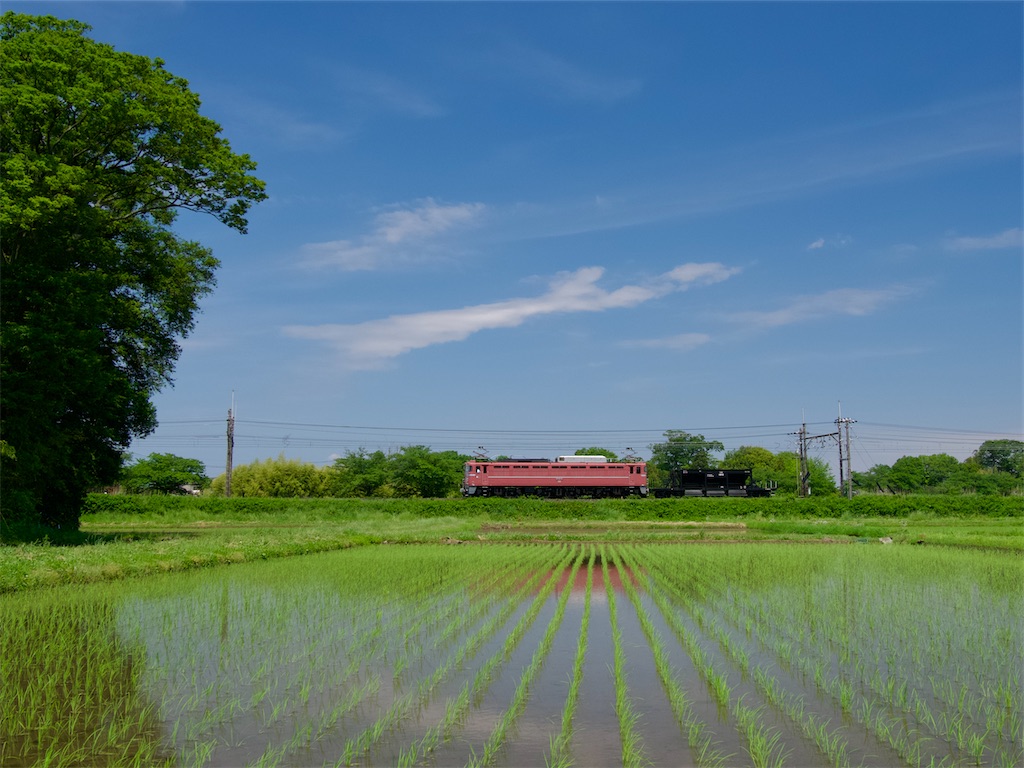 f:id:emikosorakara2:20240522224815j:image