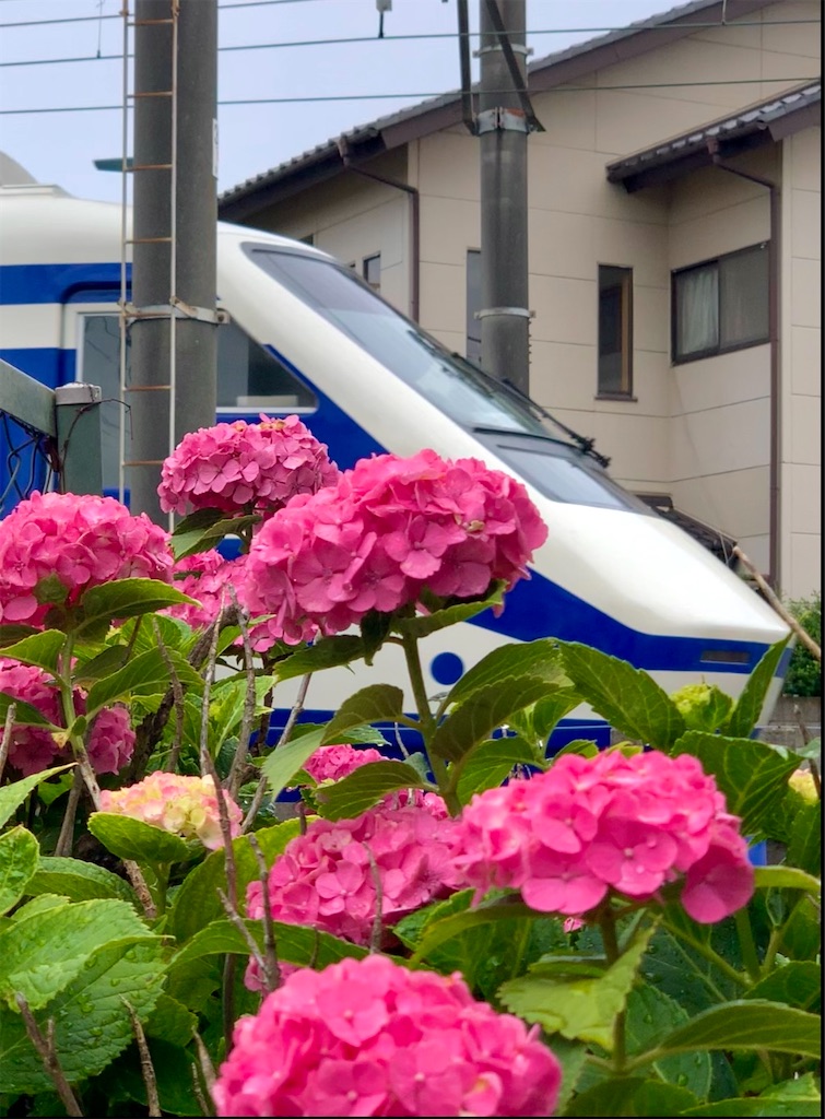 f:id:emikosorakara2:20240623220419j:image