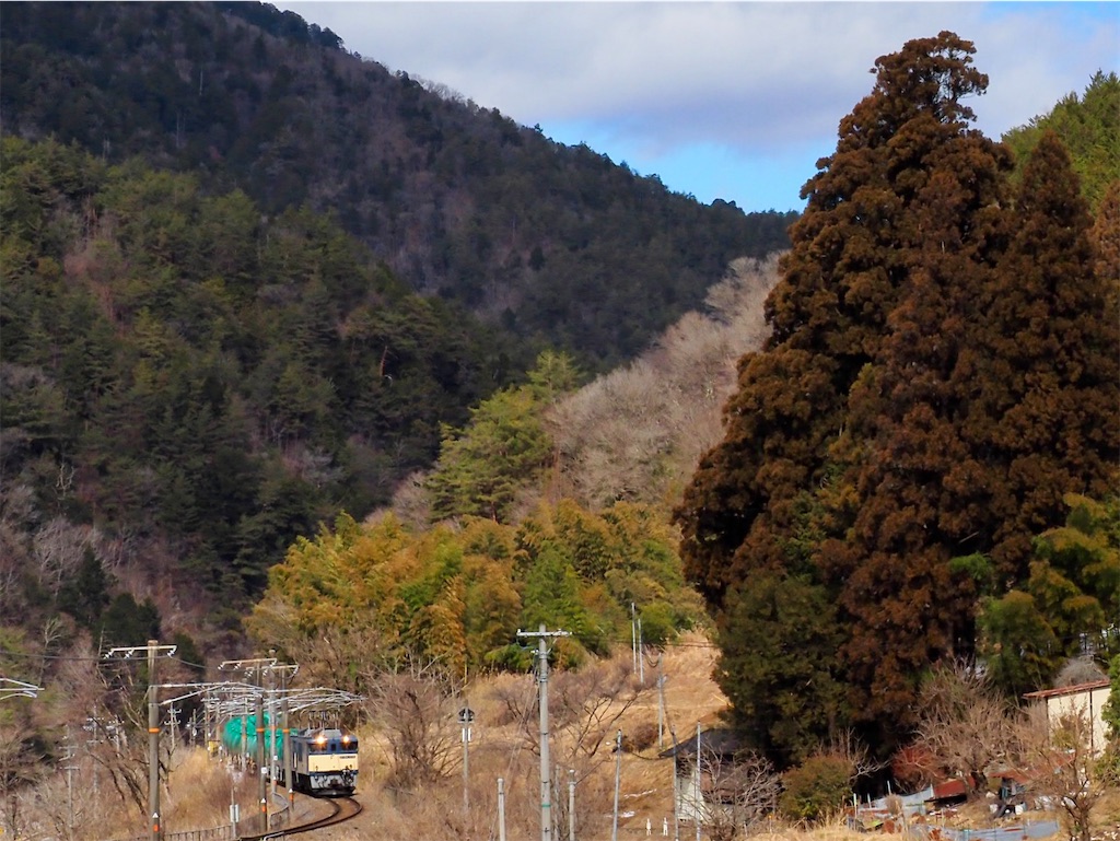 f:id:emikosorakara2:20250219181726j:image