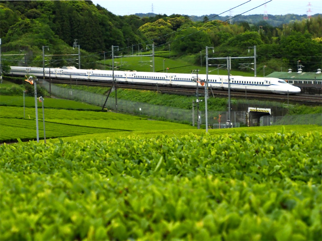 f:id:emikosorakara2:20250611232034j:image