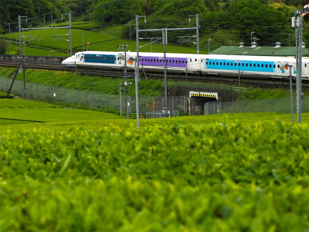f:id:emikosorakara2:20250611232037j:image