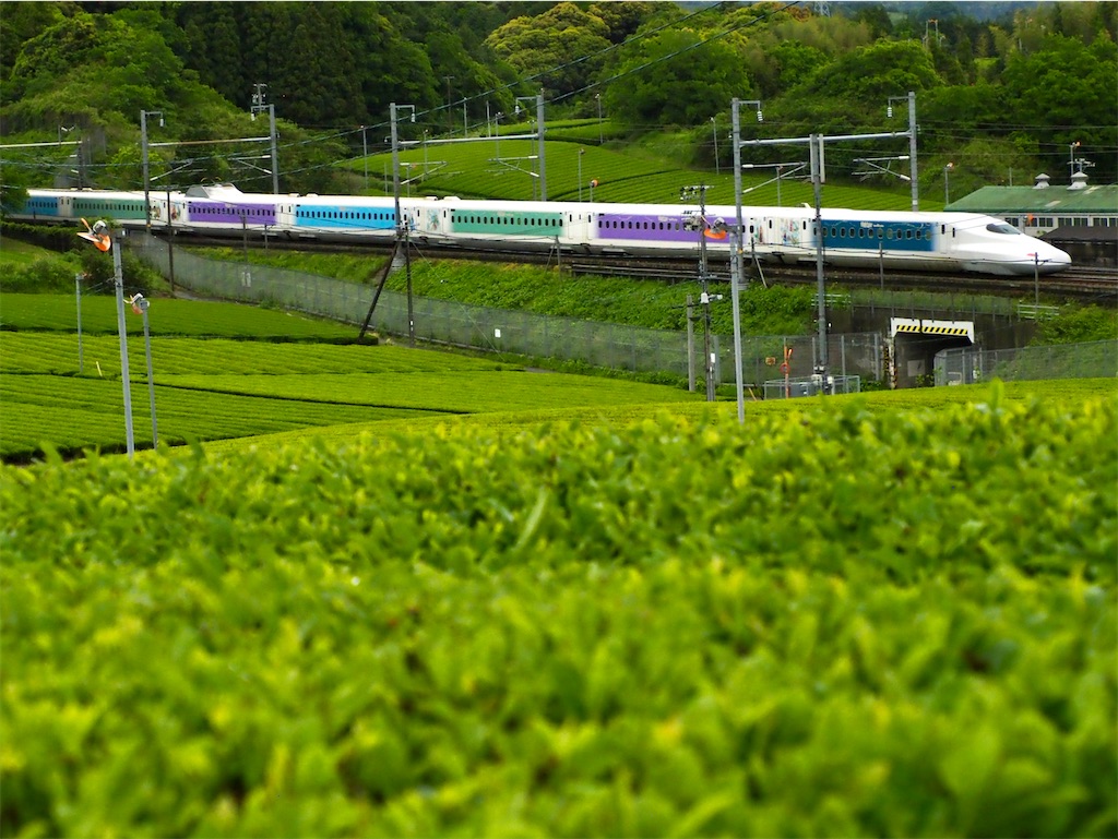 f:id:emikosorakara2:20250611232041j:image