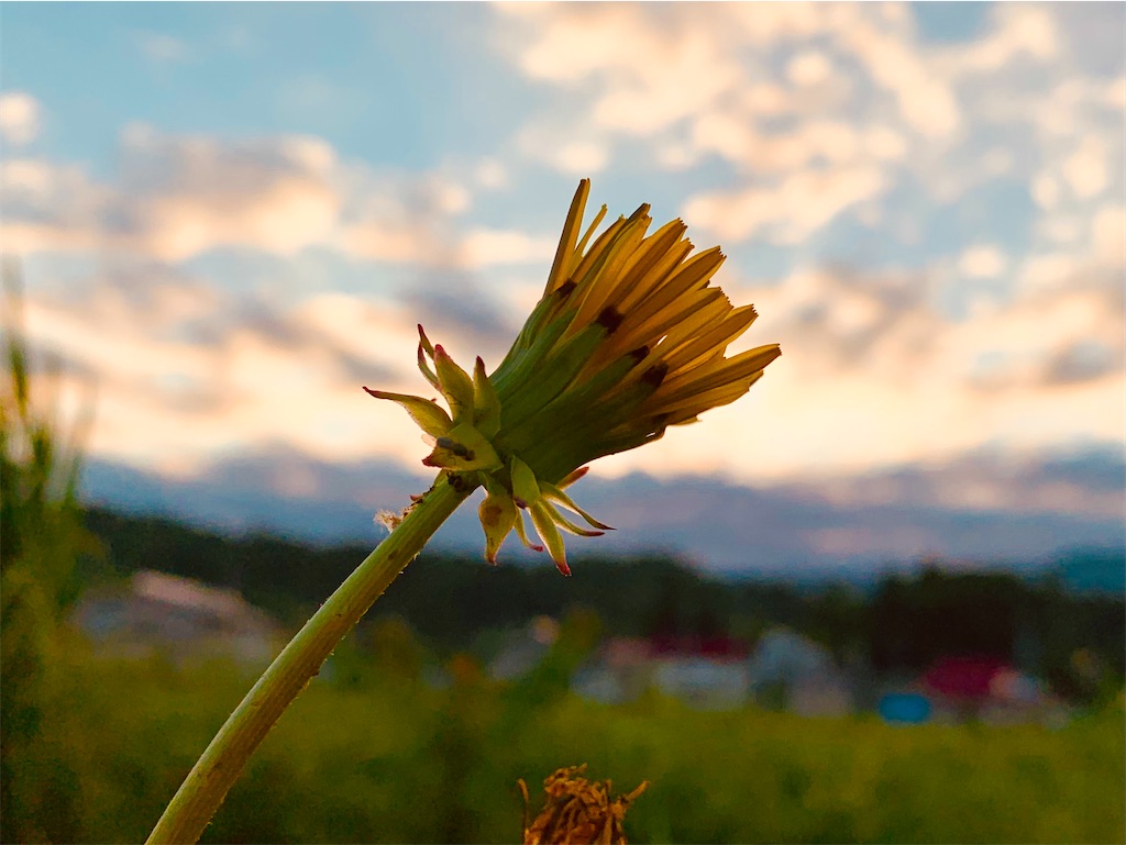 f:id:emikosorakara2:20250703222439j:image