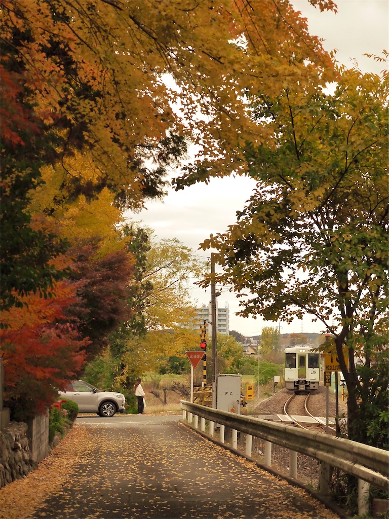 f:id:emikosorakara2:20251120225756j:image