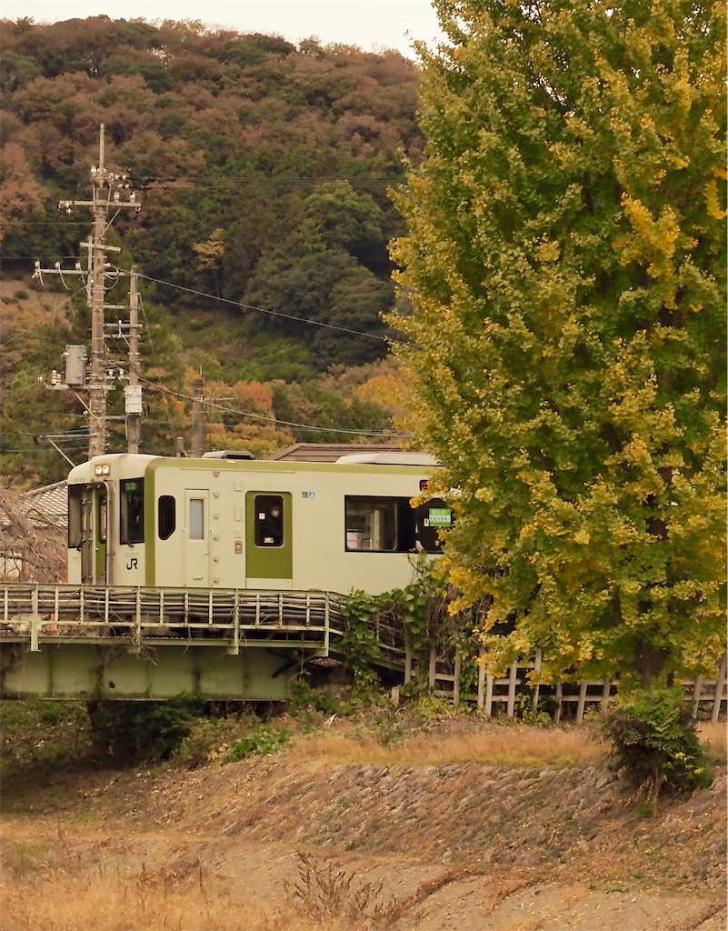 f:id:emikosorakara2:20251120225801j:image