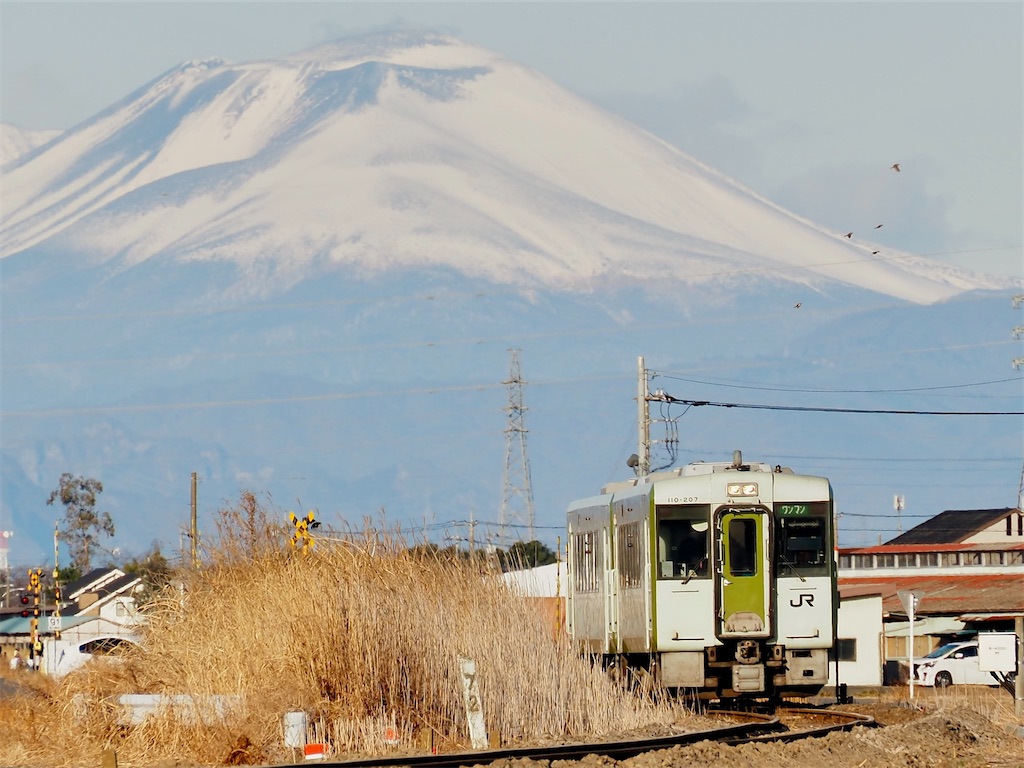 f:id:emikosorakara2:20260201230538j:image