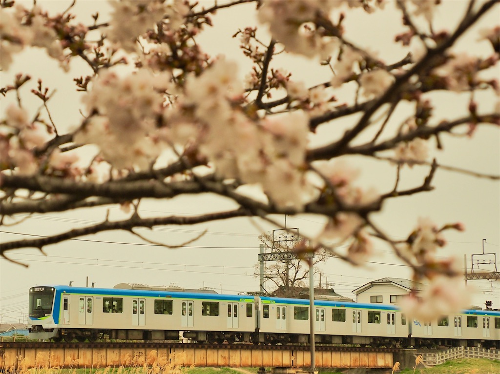 f:id:emikosorakara2:20260325210750j:image