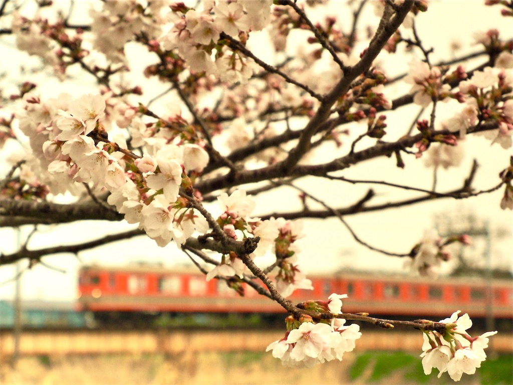f:id:emikosorakara2:20260325232533j:image