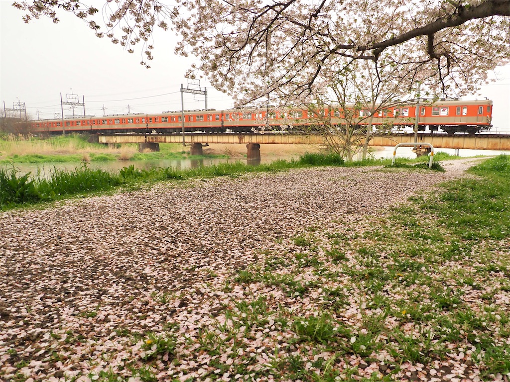 f:id:emikosorakara2:20260412234543j:image