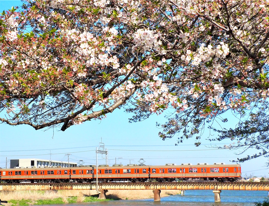 f:id:emikosorakara2:20260412234722j:image