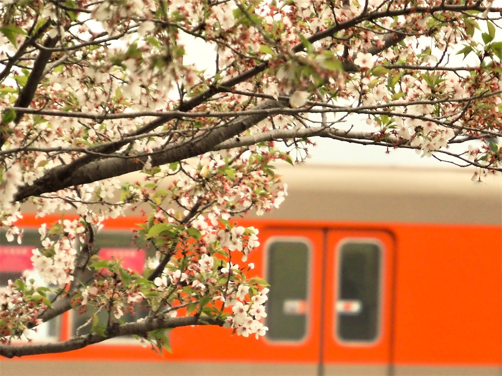 f:id:emikosorakara2:20260415223341j:image