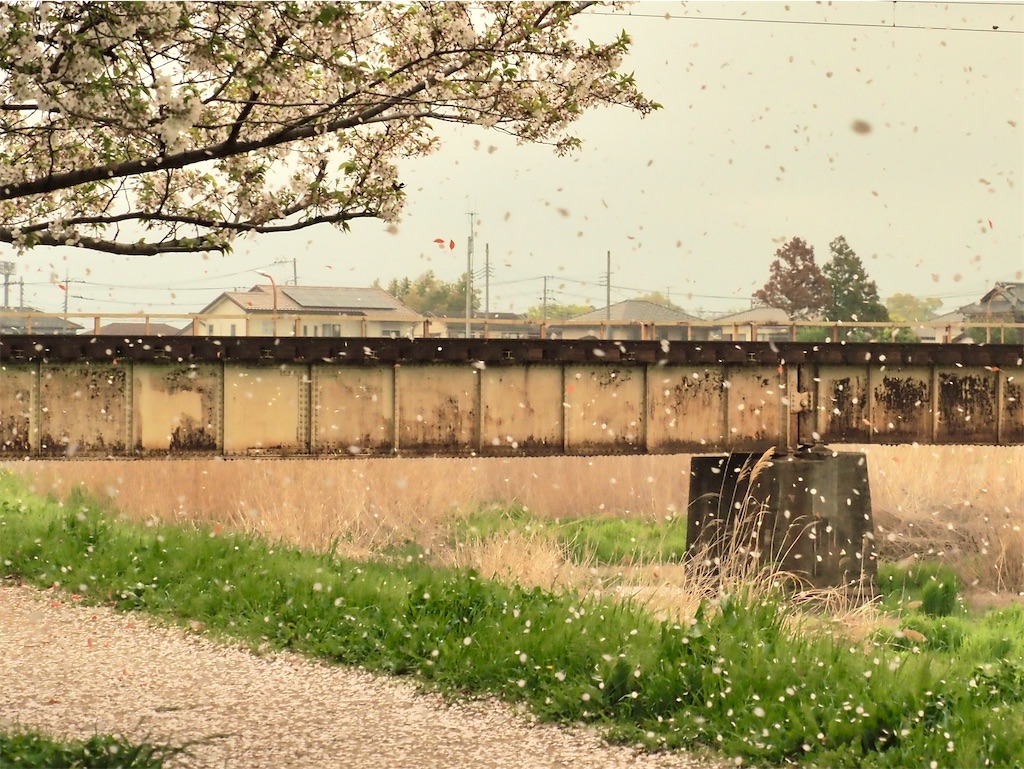 f:id:emikosorakara2:20260416063052j:image