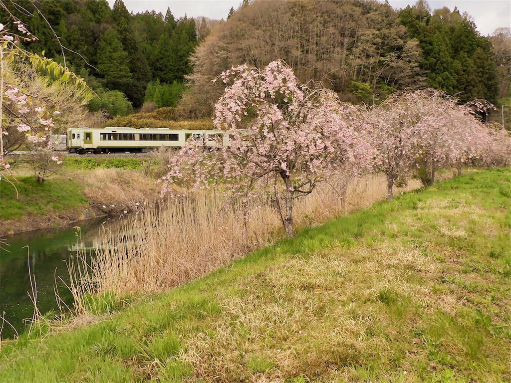 f:id:emikosorakara2:20260423222329j:image f:id:emikosorakara2:20260423222329j:image