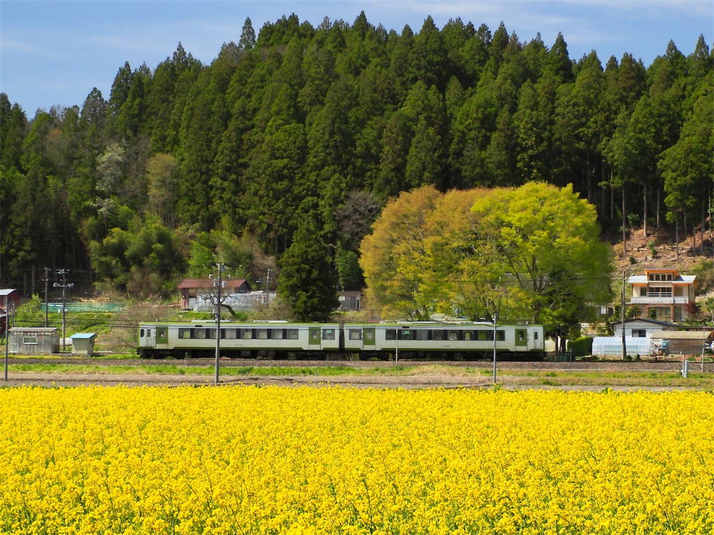 f:id:emikosorakara2:20260423222332j:image f:id:emikosorakara2:20260423222332j:image
