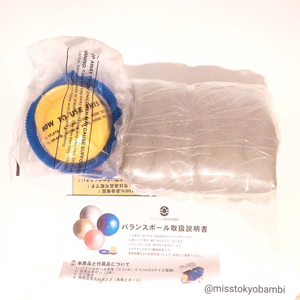 f:id:emiliaikemu4649:20191208001023j:image