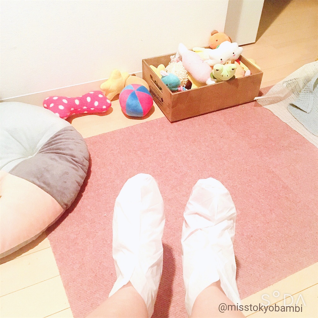 f:id:emiliaikemu4649:20200312024238j:image