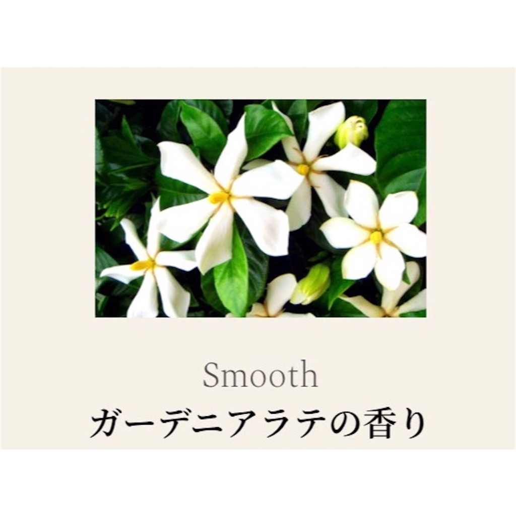 f:id:emiliaikemu4649:20200421071656j:image