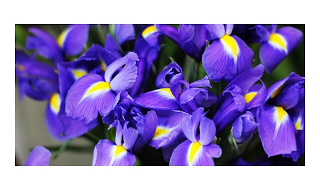 f:id:emiliaikemu4649:20200424031230j:image