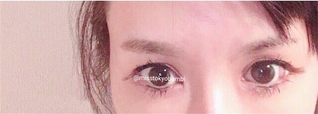 f:id:emiliaikemu4649:20200617074430j:plain f:id:emiliaikemu4649:20200617074430j:plain