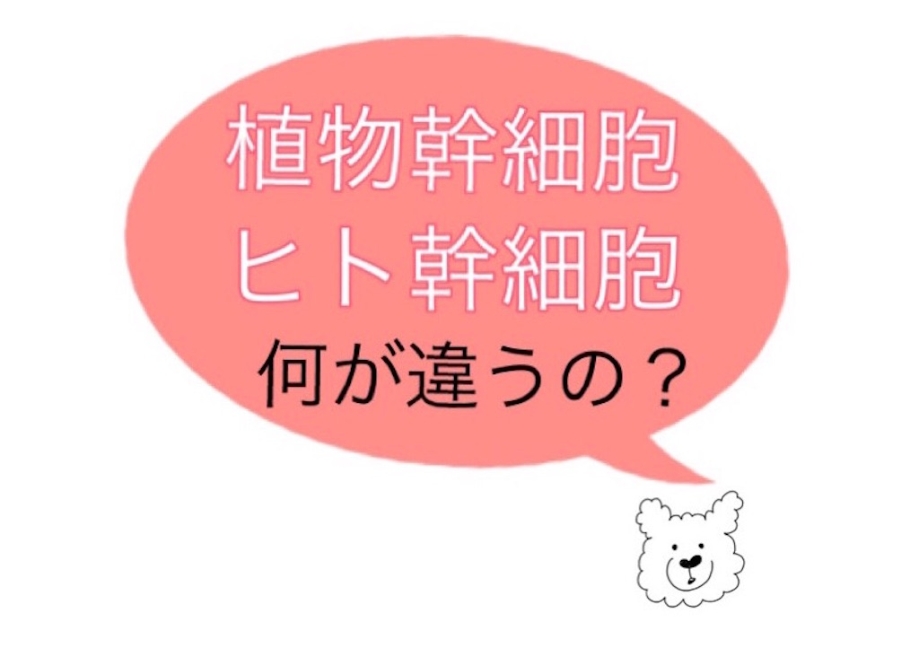 f:id:emiliaikemu4649:20200706015938j:plain f:id:emiliaikemu4649:20200706015938j:plain