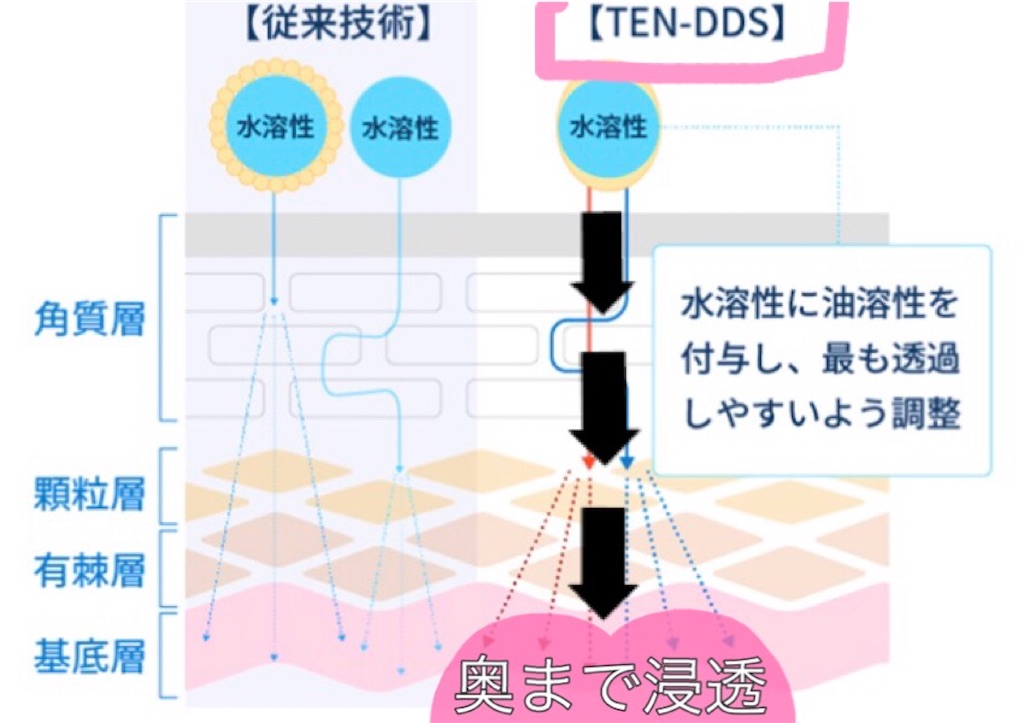 f:id:emiliaikemu4649:20200707232805j:plain f:id:emiliaikemu4649:20200707232805j:plain