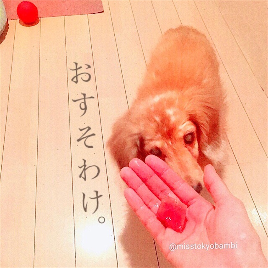 f:id:emiliaikemu4649:20200810070057j:plain f:id:emiliaikemu4649:20200810070057j:plain