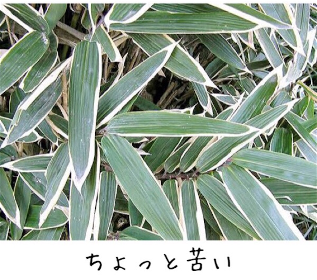 f:id:emiliaikemu4649:20200817080037j:plain f:id:emiliaikemu4649:20200817080037j:plain