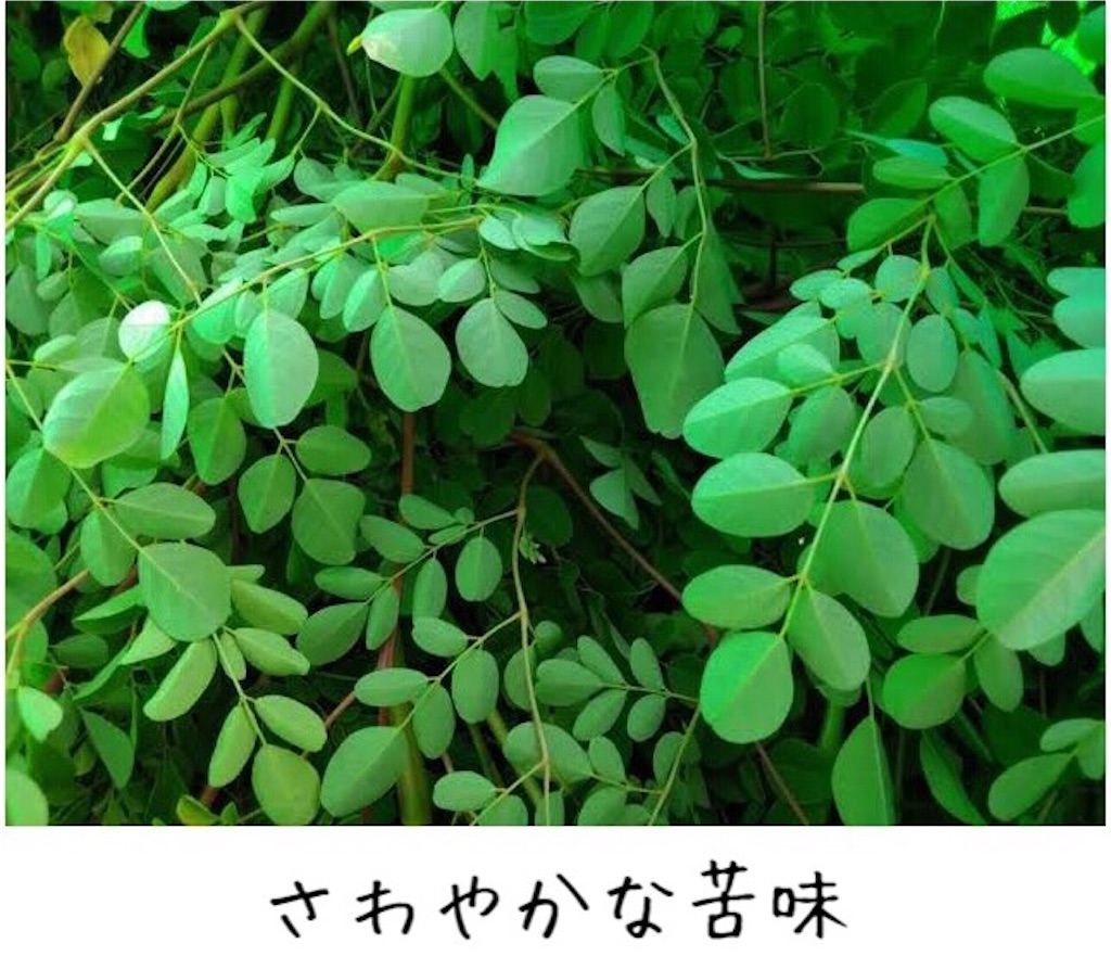 f:id:emiliaikemu4649:20200817080048j:plain f:id:emiliaikemu4649:20200817080048j:plain