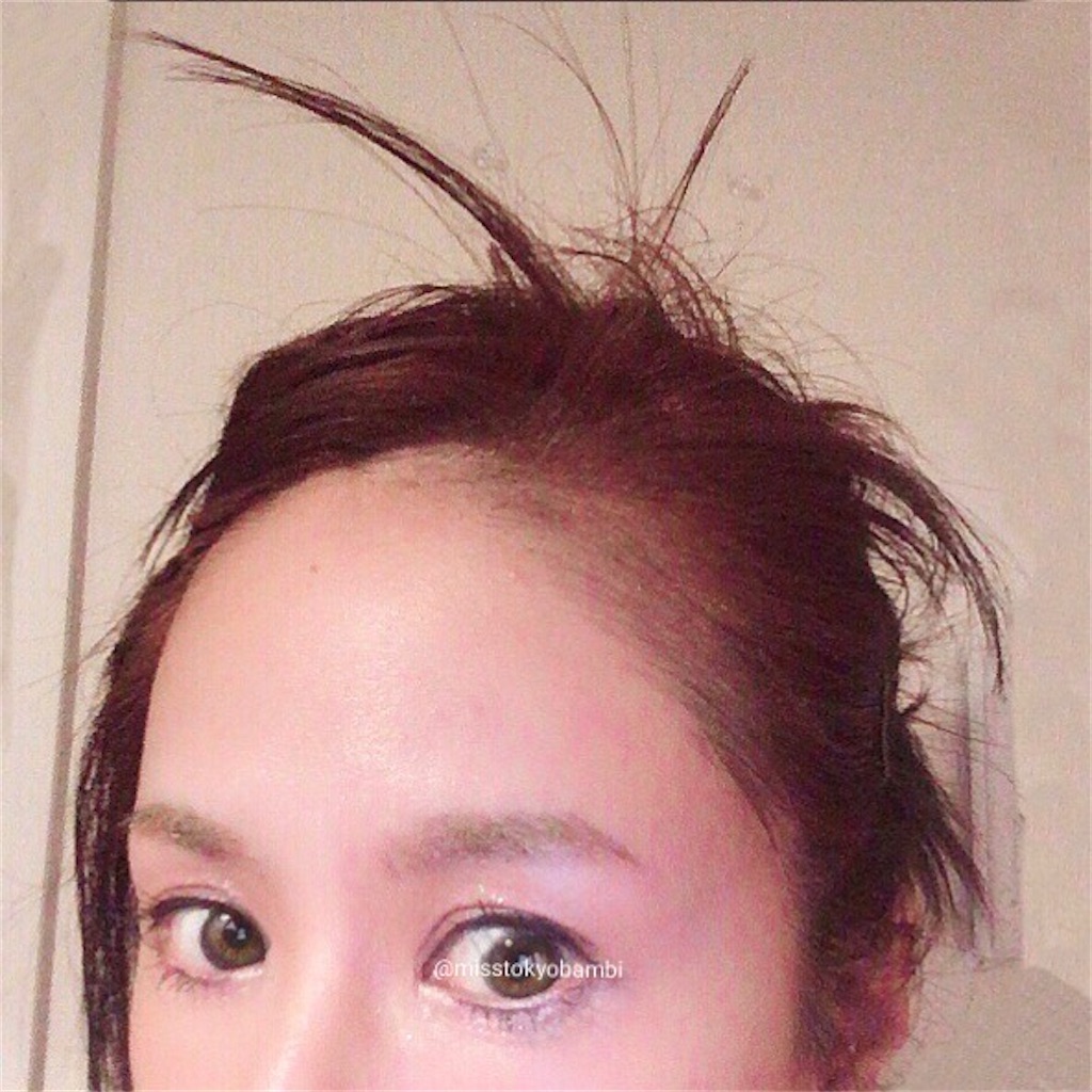 f:id:emiliaikemu4649:20200819211355j:plain f:id:emiliaikemu4649:20200819211355j:plain