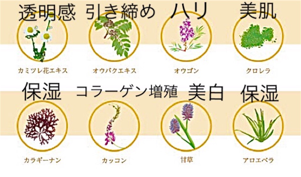 f:id:emiliaikemu4649:20200922040421j:plain f:id:emiliaikemu4649:20200922040421j:plain