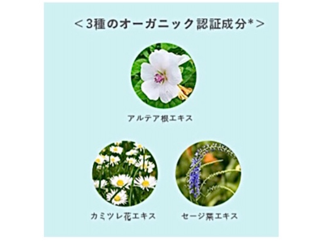 f:id:emiliaikemu4649:20201009001147j:plain f:id:emiliaikemu4649:20201009001147j:plain
