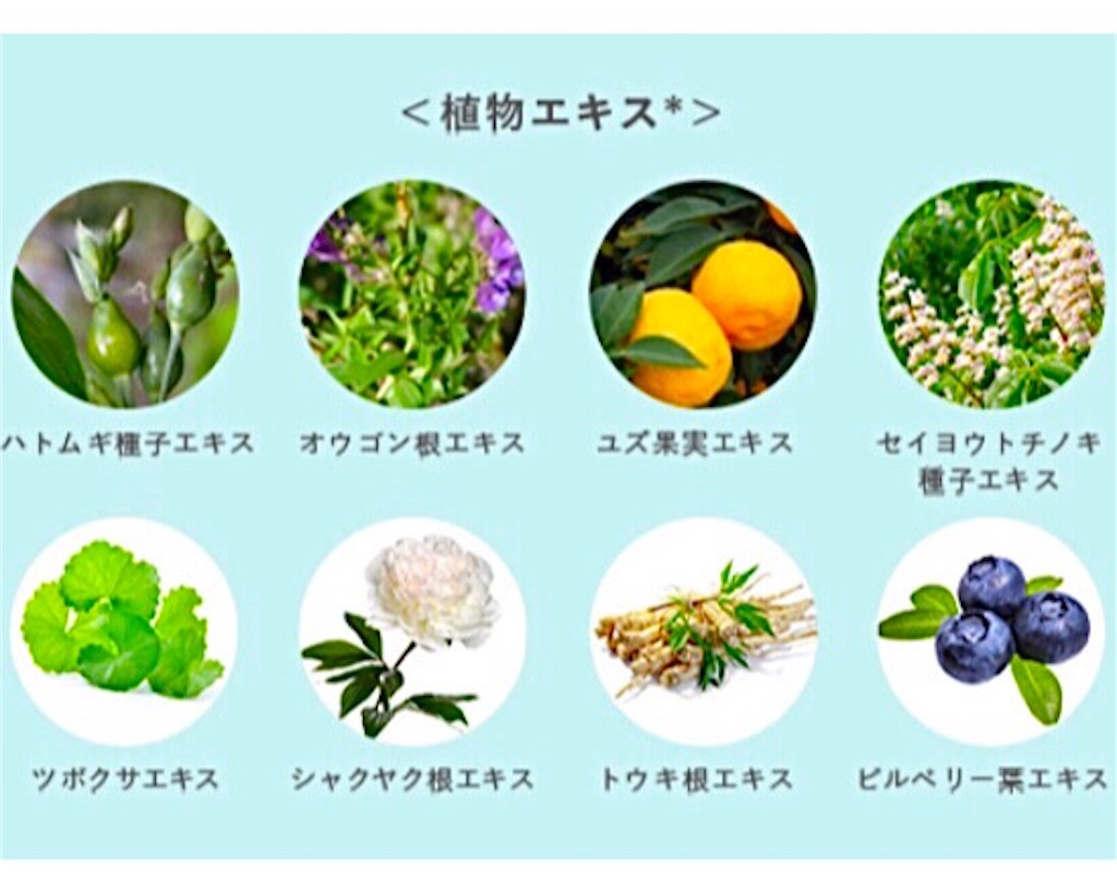 f:id:emiliaikemu4649:20201009011451j:plain f:id:emiliaikemu4649:20201009011451j:plain