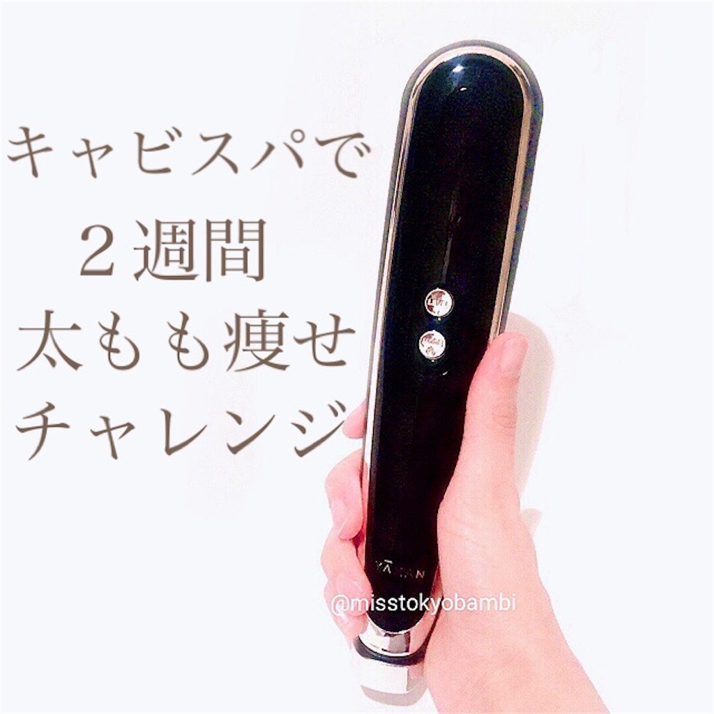 f:id:emiliaikemu4649:20201104223826j:plain f:id:emiliaikemu4649:20201104223826j:plain