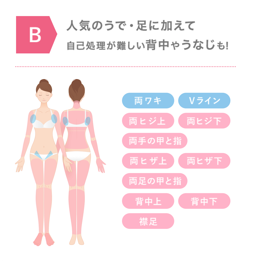 f:id:emiliaikemu4649:20201109202150p:plain f:id:emiliaikemu4649:20201109202150p:plain