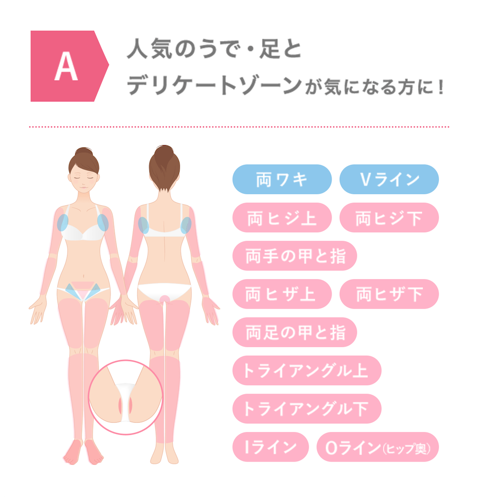 f:id:emiliaikemu4649:20201109202154p:plain f:id:emiliaikemu4649:20201109202154p:plain