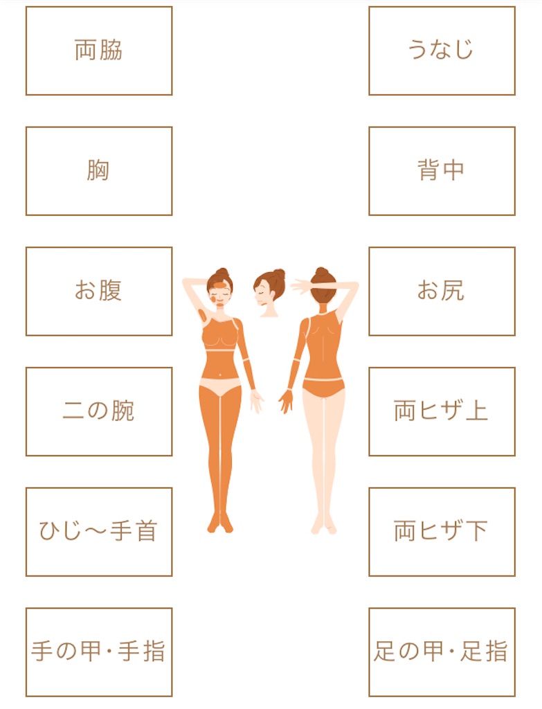 f:id:emiliaikemu4649:20201112174516j:plain f:id:emiliaikemu4649:20201112174516j:plain