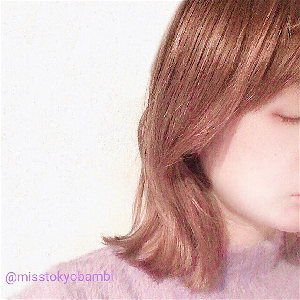f:id:emiliaikemu4649:20201230093555j:plain