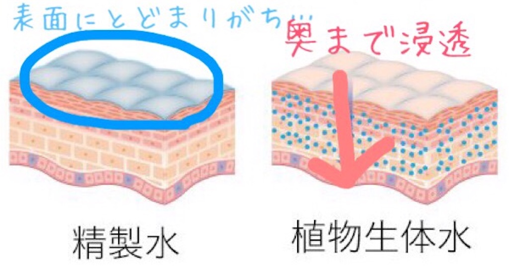 f:id:emiliaikemu4649:20210622000520j:plain