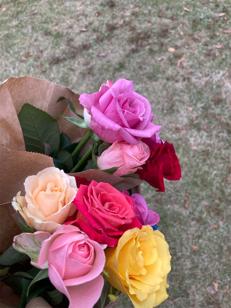 f:id:emily0225:20231104234153j:image