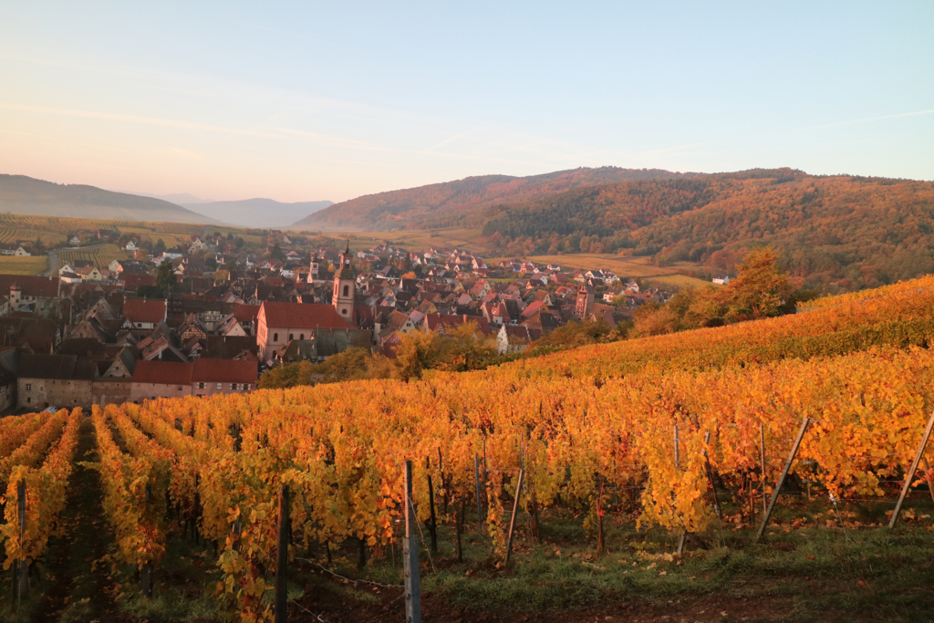 フランスの絶景】最高に感動する田舎の美しい村たち - エミリーの家