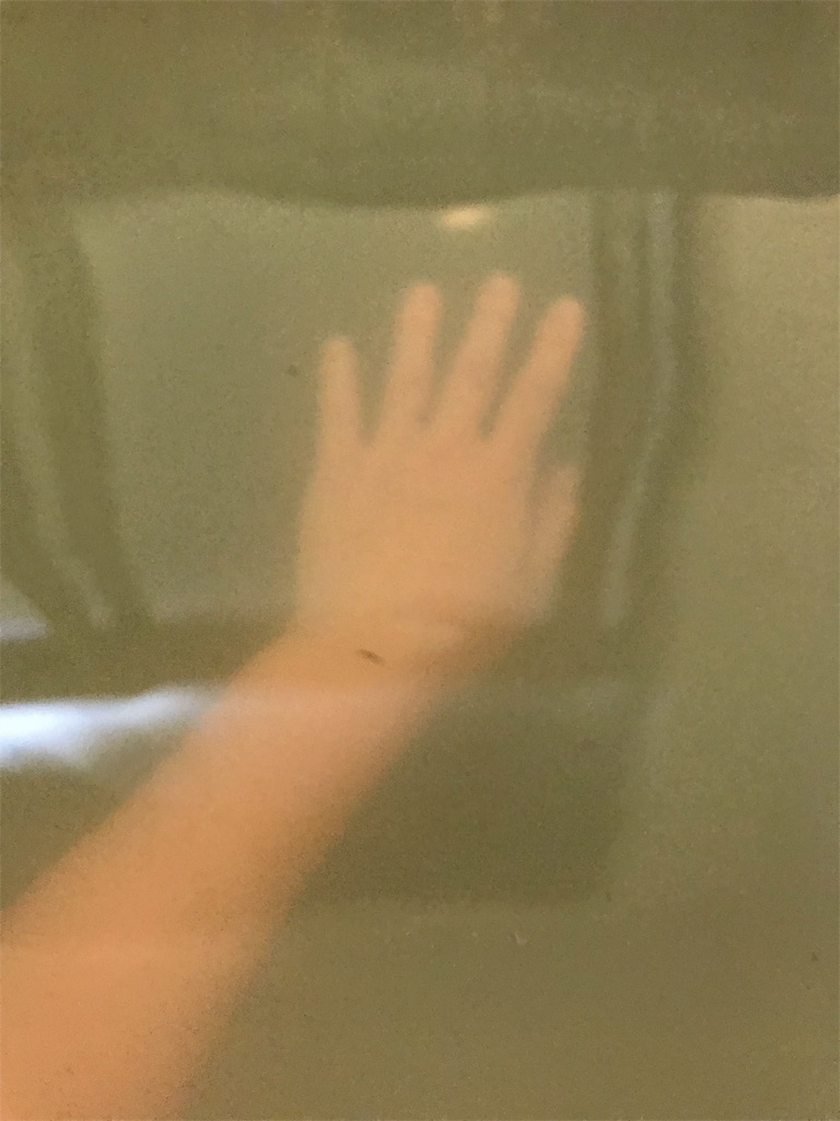 f:id:emilyoncb400sf:20180925193452j:image f:id:emilyoncb400sf:20180925193452j:image