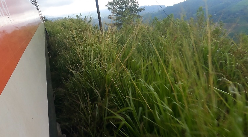 f:id:emimizo19821212:20230818071737j:image f:id:emimizo19821212:20230818071737j:image