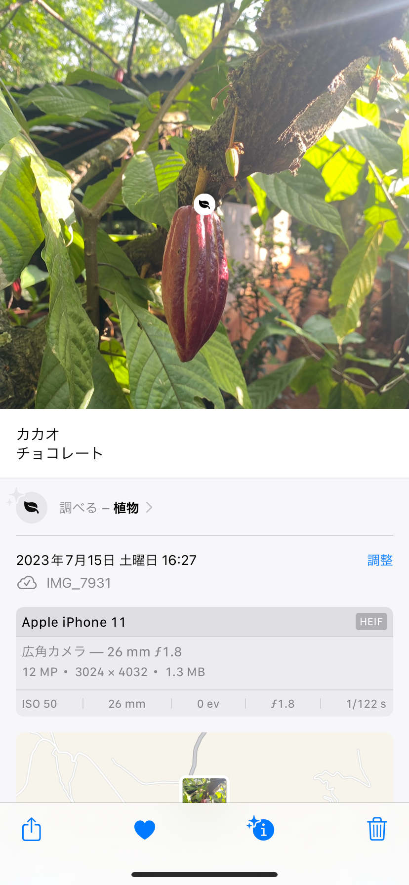 f:id:emimizo19821212:20230826151234p:image f:id:emimizo19821212:20230826151234p:image