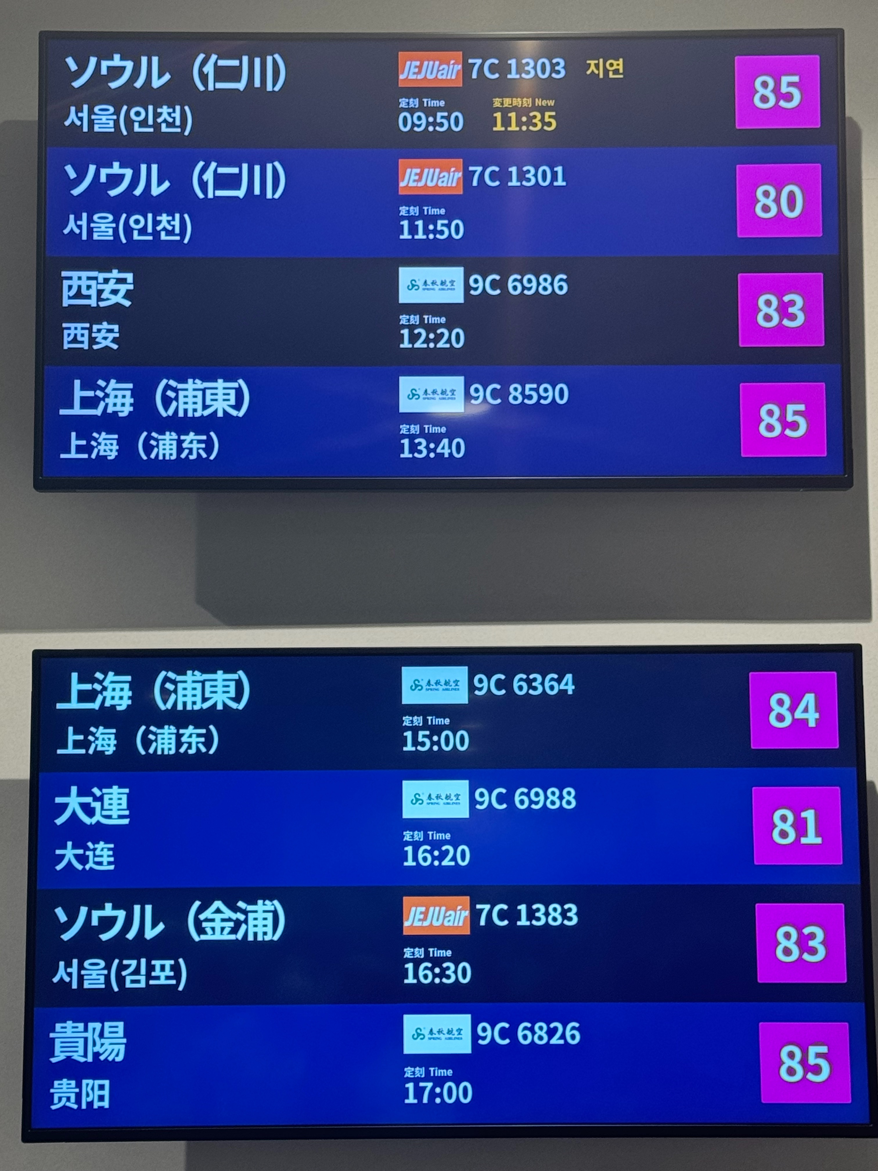 f:id:emimizo19821212:20240721205802j:image f:id:emimizo19821212:20240721205802j:image