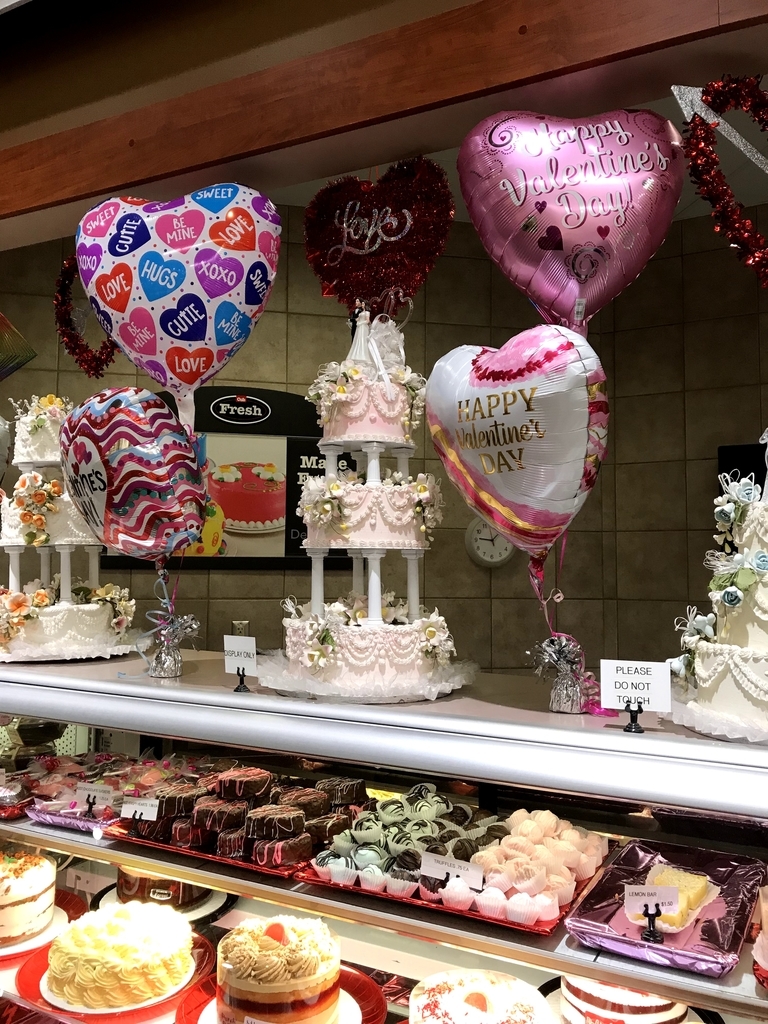 f:id:eminaminnesota:20190128085223j:plain