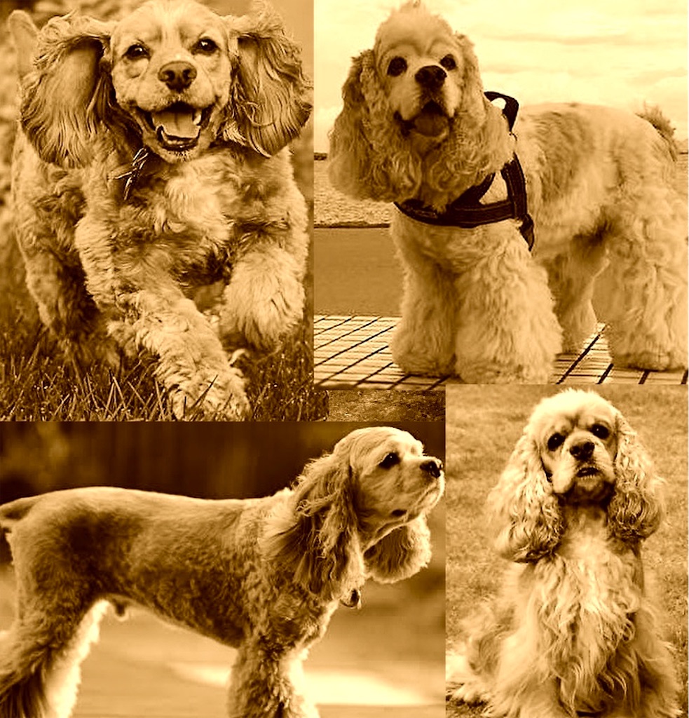 f:id:emiriox:20211101002732j:image f:id:emiriox:20211101002732j:image