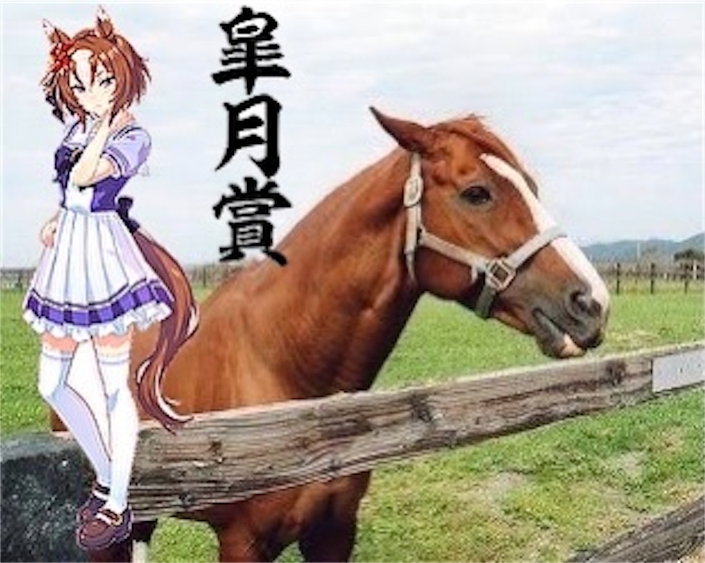 f:id:emiriox:20220418134739j:image